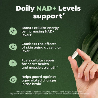 NAD+ Support